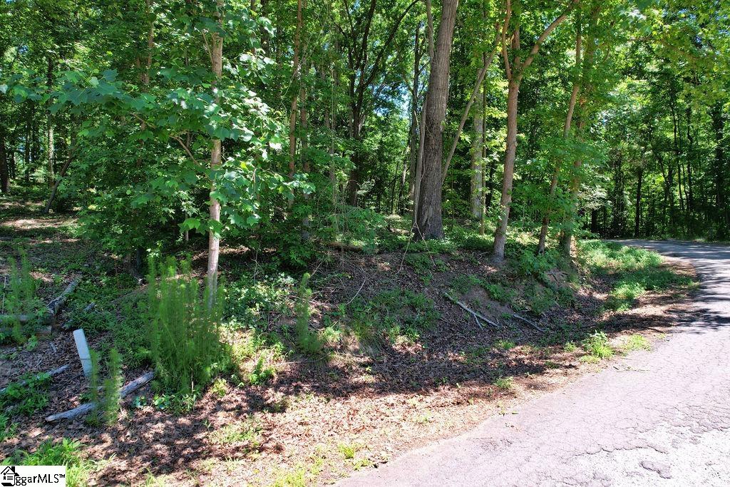 170 Meredith Lake Road Townville, SC 29689 - Photo 16 of 36 Gallery Image 16