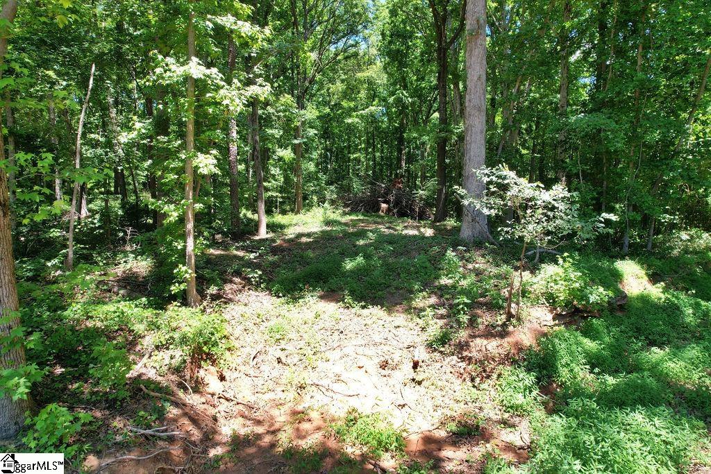 170 Meredith Lake Road Townville, SC 29689 - Photo 17 of 36 Gallery Image 17