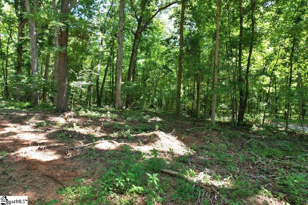 170 Meredith Lake Road Townville, SC 29689 - Photo 18 of 36 Gallery Image 18