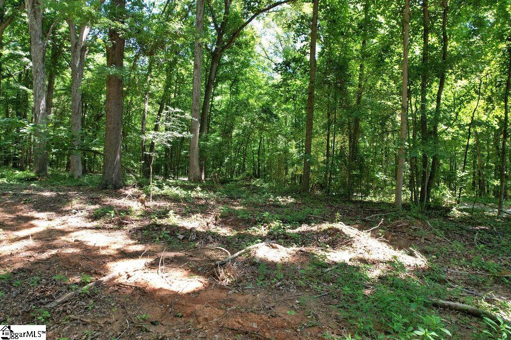 170 Meredith Lake Road Townville, SC 29689 - Photo 19 of 36 Gallery Image 19