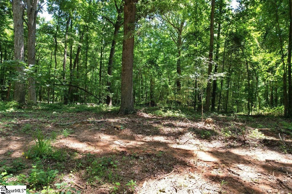 170 Meredith Lake Road Townville, SC 29689 - Photo 20 of 36 Gallery Image 20