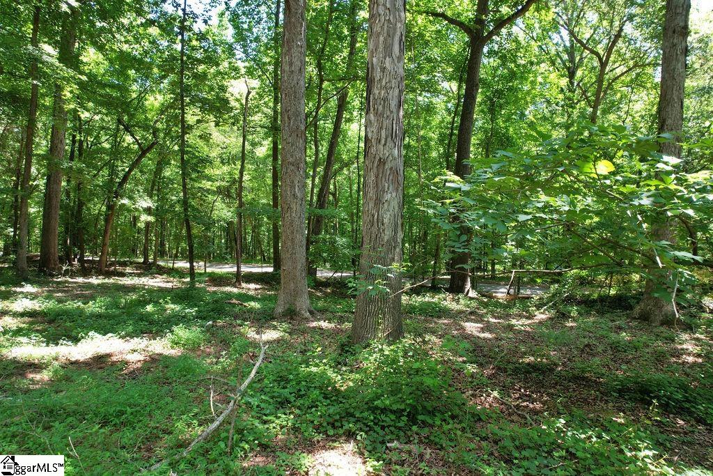 170 Meredith Lake Road Townville, SC 29689 - Photo 21 of 36 Gallery Image 21