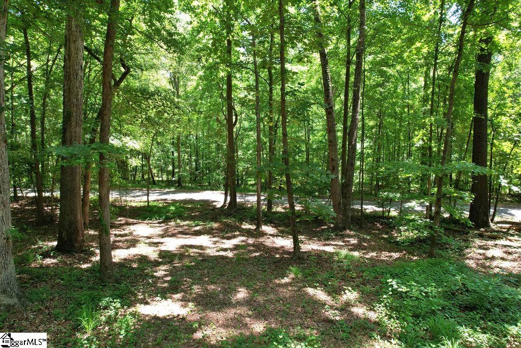 170 Meredith Lake Road Townville, SC 29689 - Photo 23 of 36 Gallery Image 23