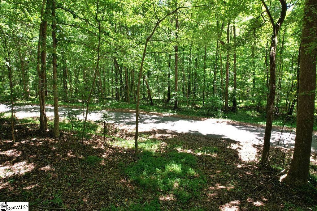 170 Meredith Lake Road Townville, SC 29689 - Photo 25 of 36 Gallery Image 25