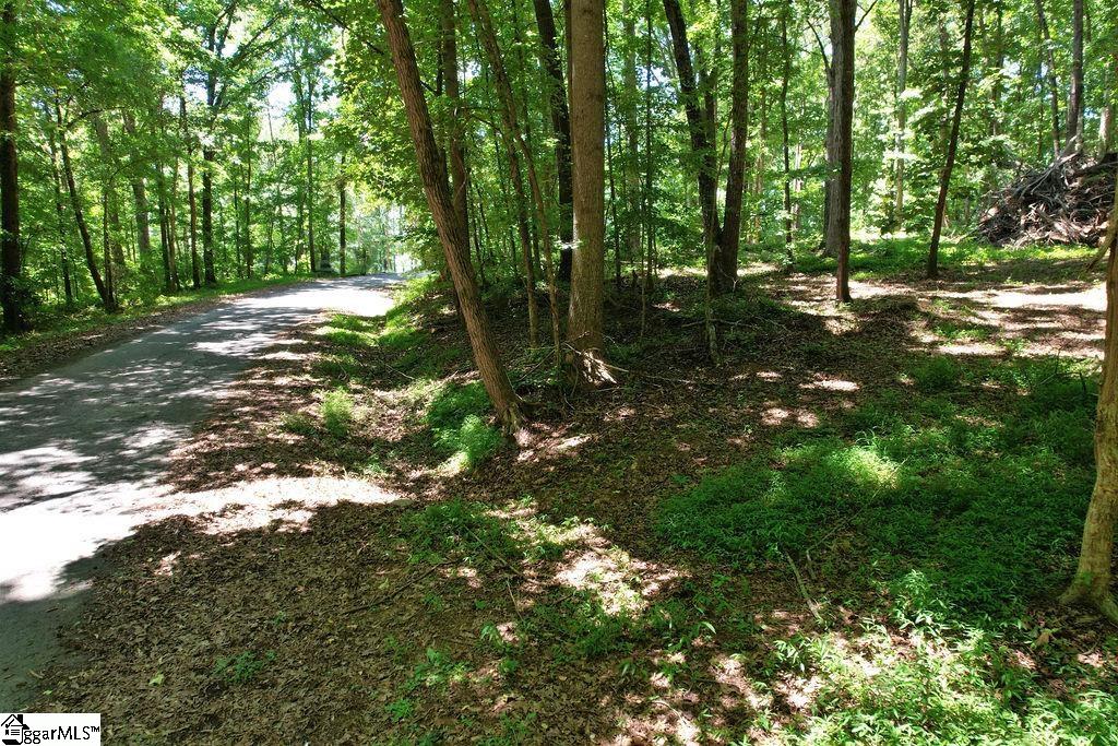 170 Meredith Lake Road Townville, SC 29689 - Photo 26 of 36 Gallery Image 26