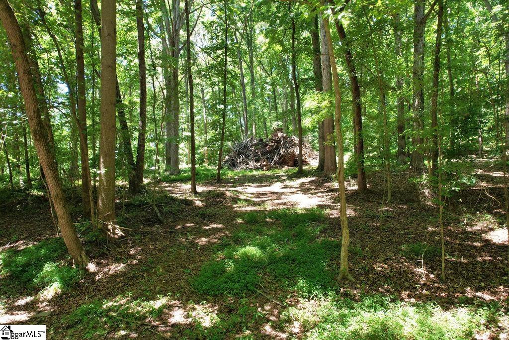 170 Meredith Lake Road Townville, SC 29689 - Photo 27 of 36 Gallery Image 27