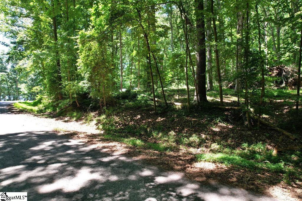 170 Meredith Lake Road Townville, SC 29689 - Photo 29 of 36 Gallery Image 29