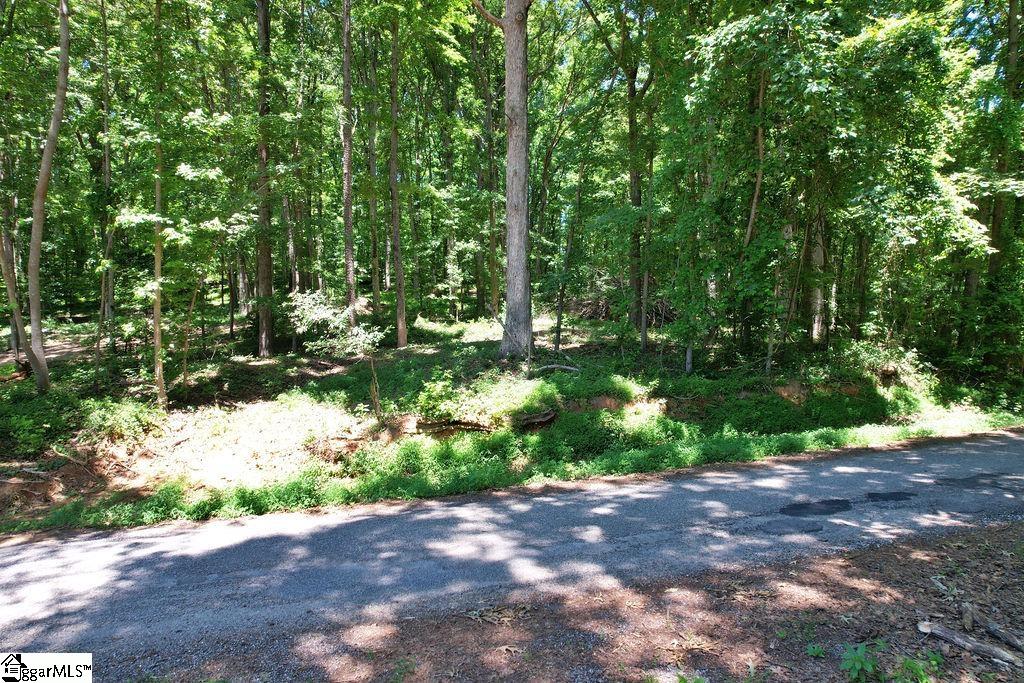 170 Meredith Lake Road Townville, SC 29689 - Photo 30 of 36 Gallery Image 30