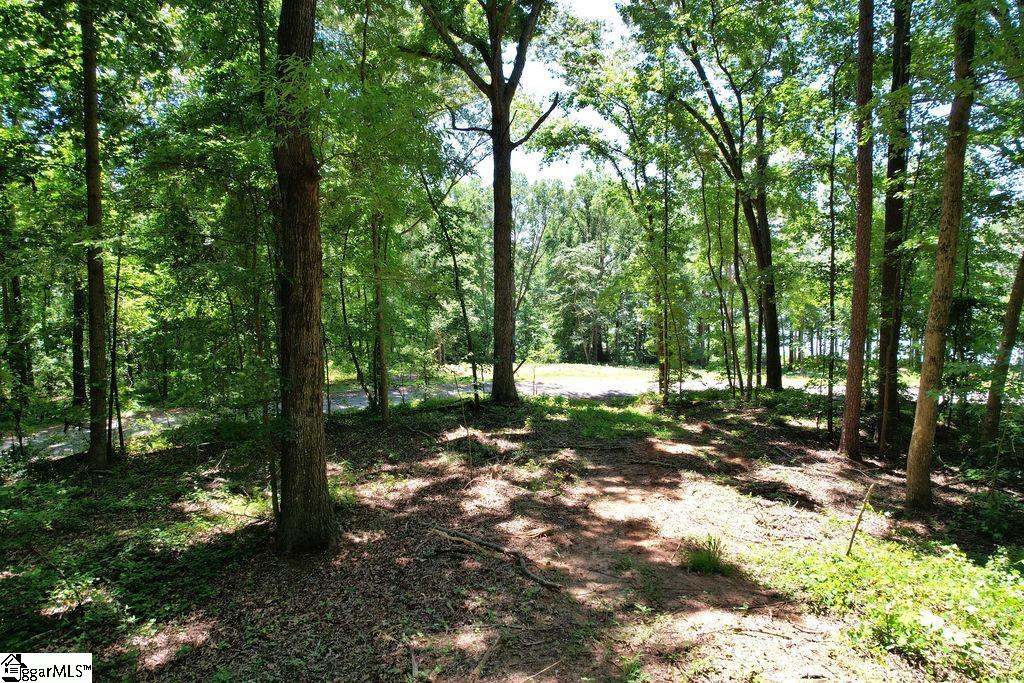 170 Meredith Lake Road Townville, SC 29689 - Photo 35 of 36 Gallery Image 35