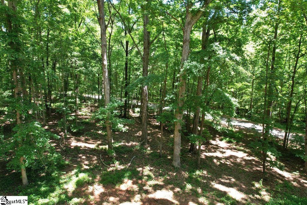 170 Meredith Lake Road Townville, SC 29689 - Photo 36 of 36 Gallery Image 36