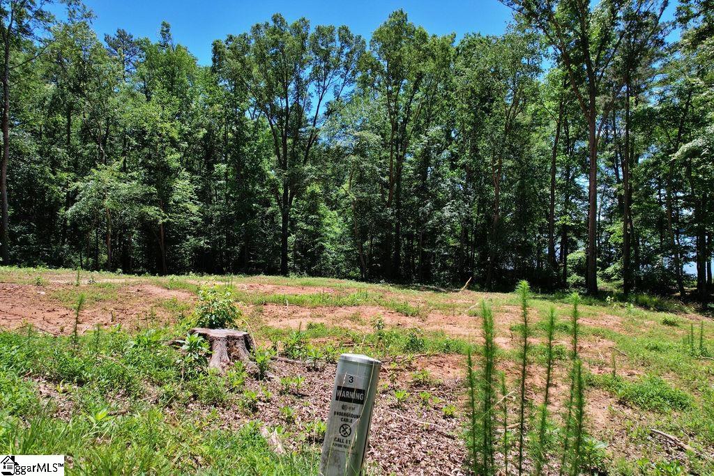 170 Meredith Lake Road Townville, SC 29689 - Photo 9 of 36 Gallery Image 9