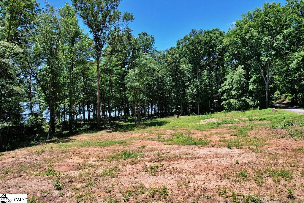 170 Meredith Lake Road Townville, SC 29689 - Photo 10 of 36 Gallery Image 10