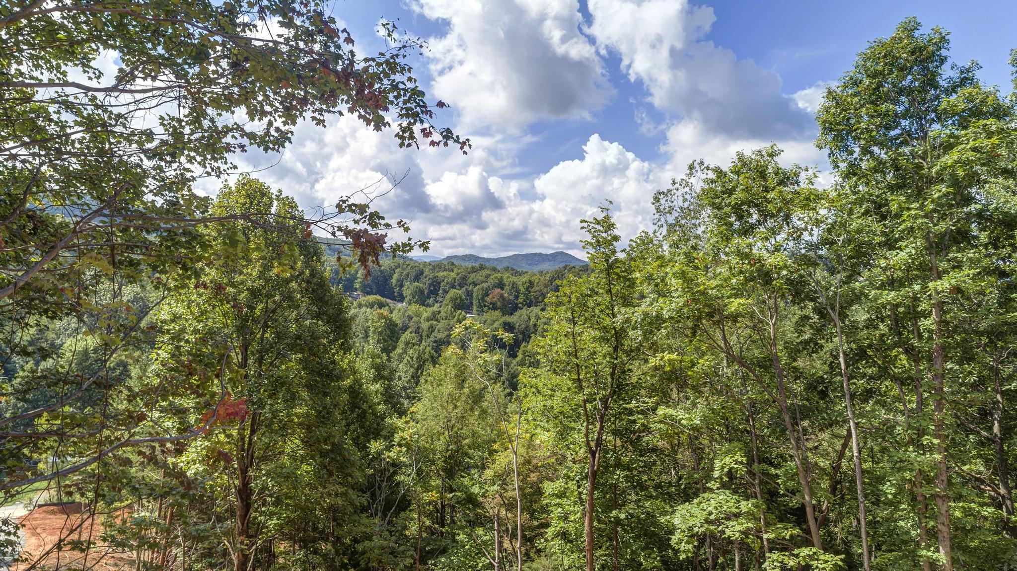 0 Powder Branch Road, Unit LOT 2 Johnson City, TN 37601 - Photo 1 of 24 PowderBranchLot2_19