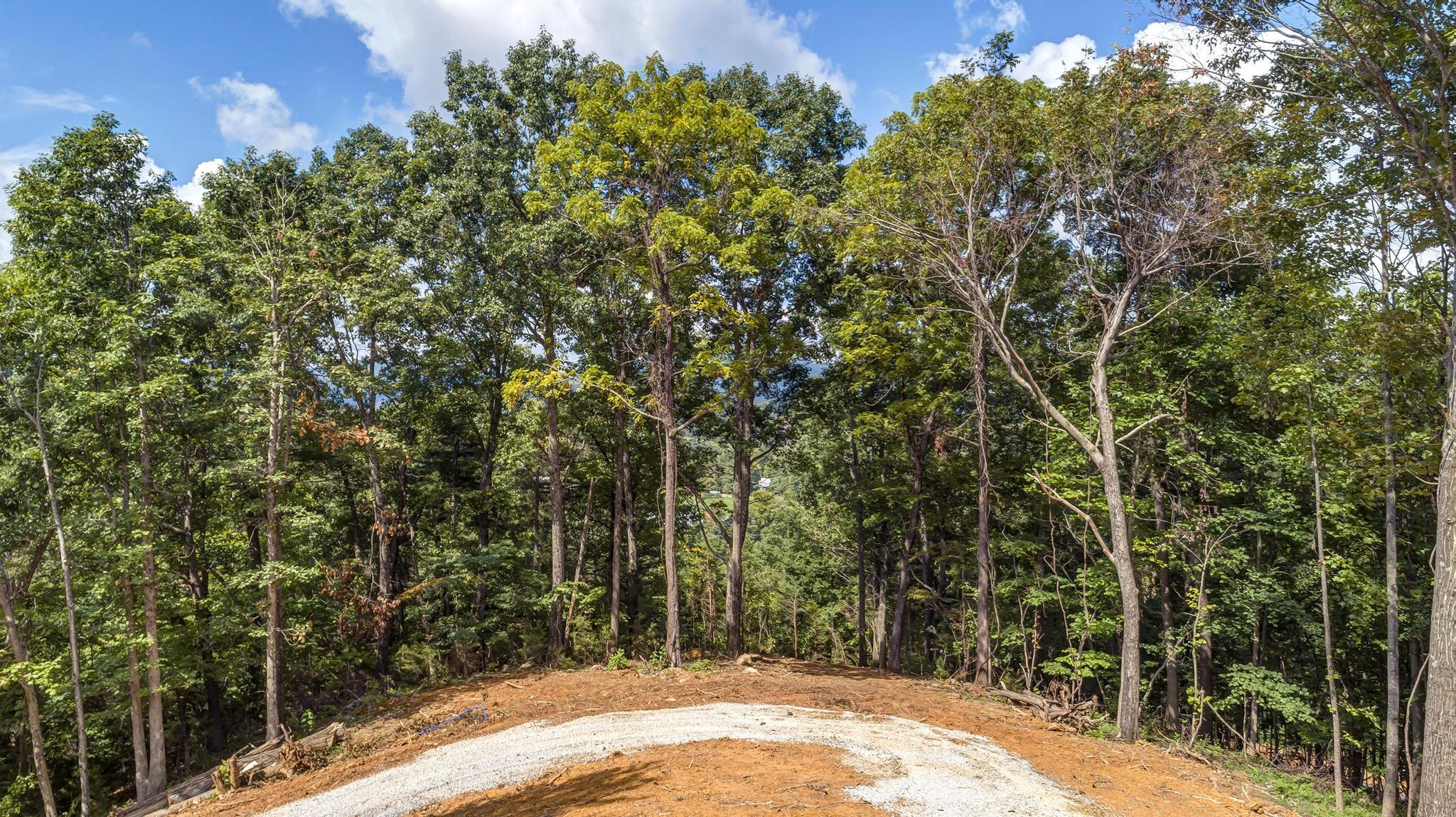 0 Powder Branch Road, Unit LOT 2 Johnson City, TN 37601 - Photo 21 of 24 PowderBranchLot2_21