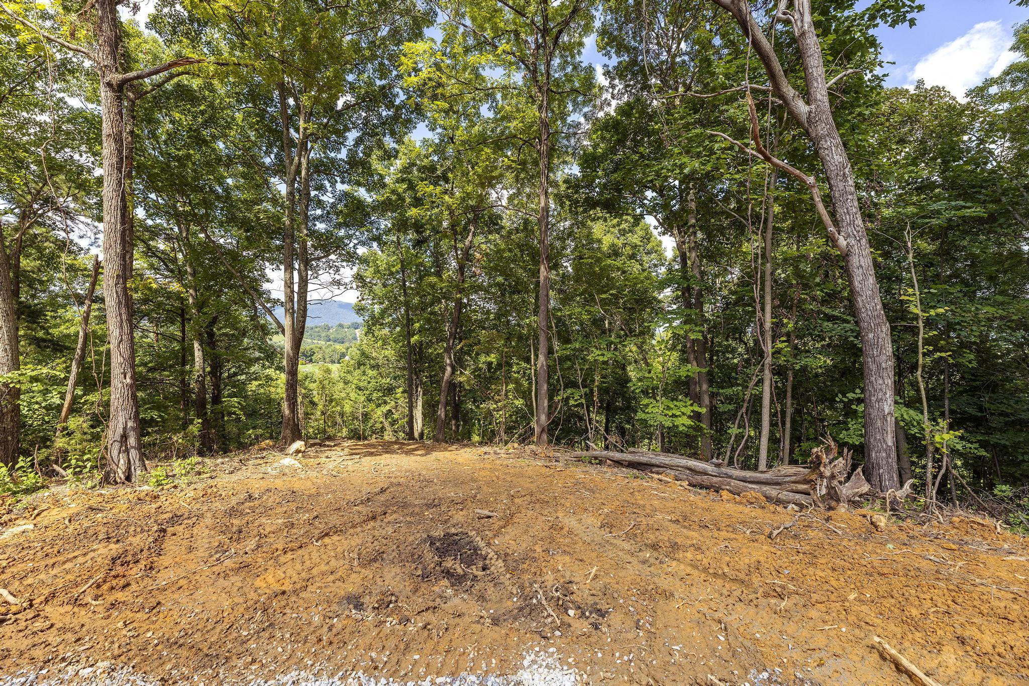 0 Powder Branch Road, Unit LOT 2 Johnson City, TN 37601 - Photo 22 of 24 PowderBranchLot2_25