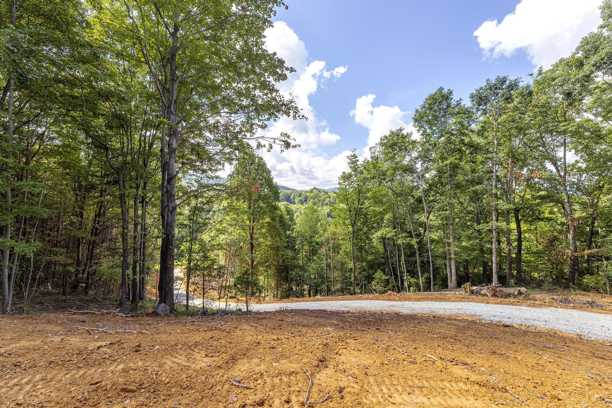 0 Powder Branch Road, Unit LOT 2 Johnson City, TN 37601 - Photo 23 of 24 PowderBranchLot2_26