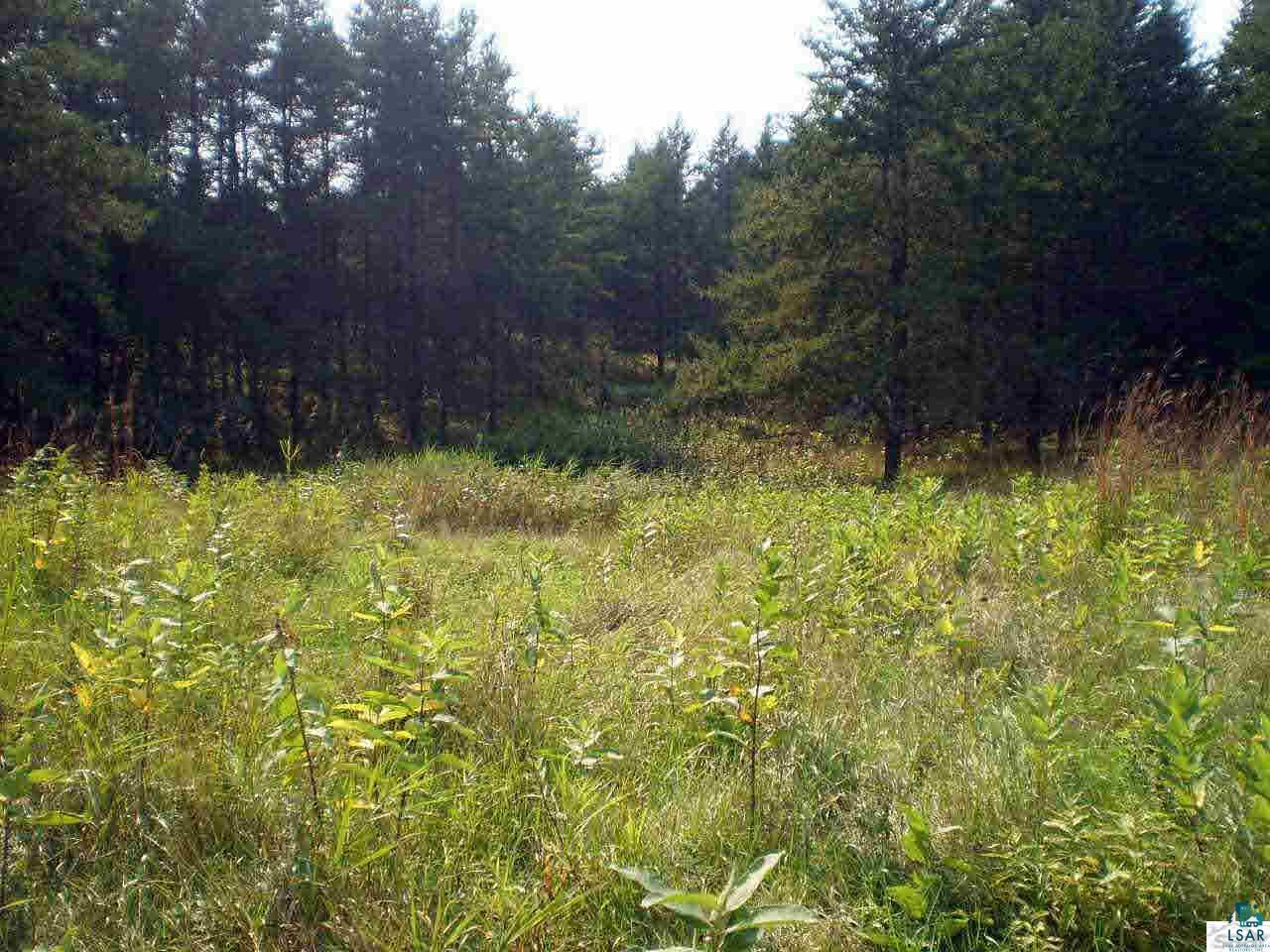0 County Road Trego, WI 54888 - Photo 1 of 3 Gallery Image 1