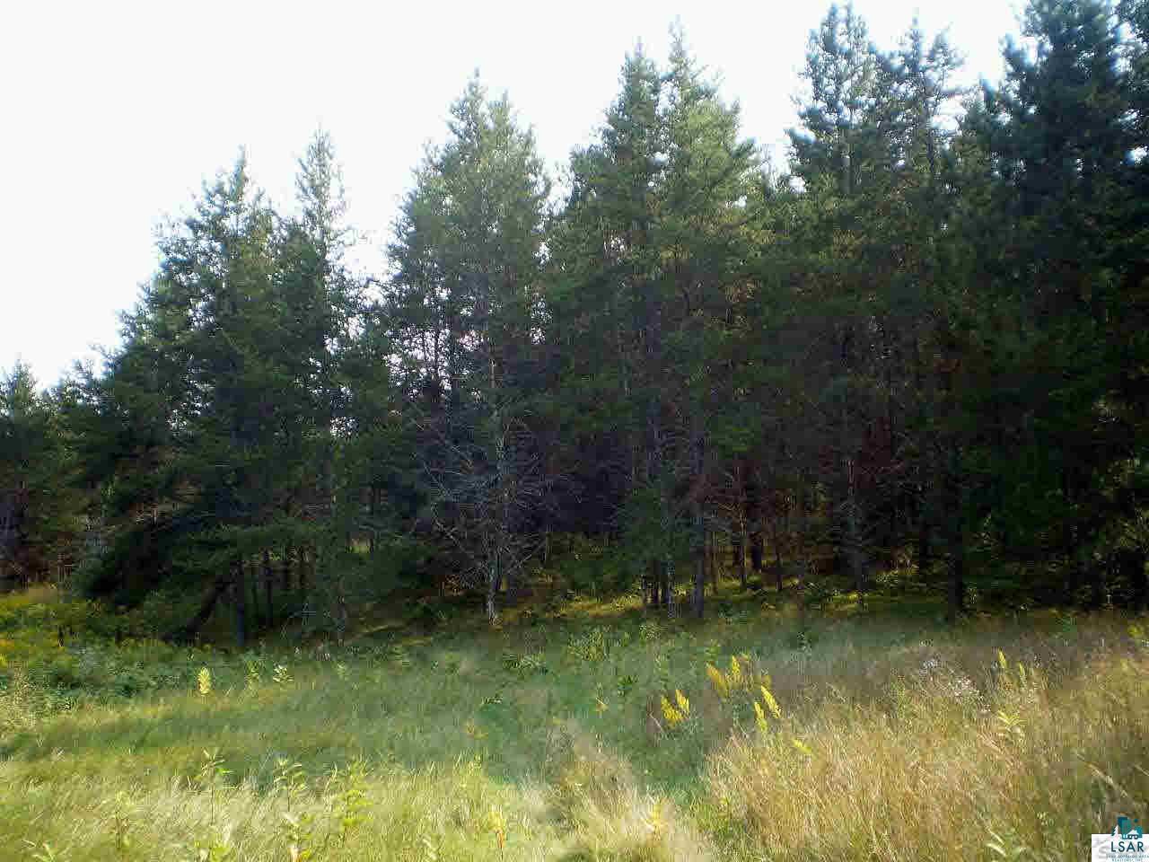 0 County Road Trego, WI 54888 - Photo 3 of 3 Gallery Image 3