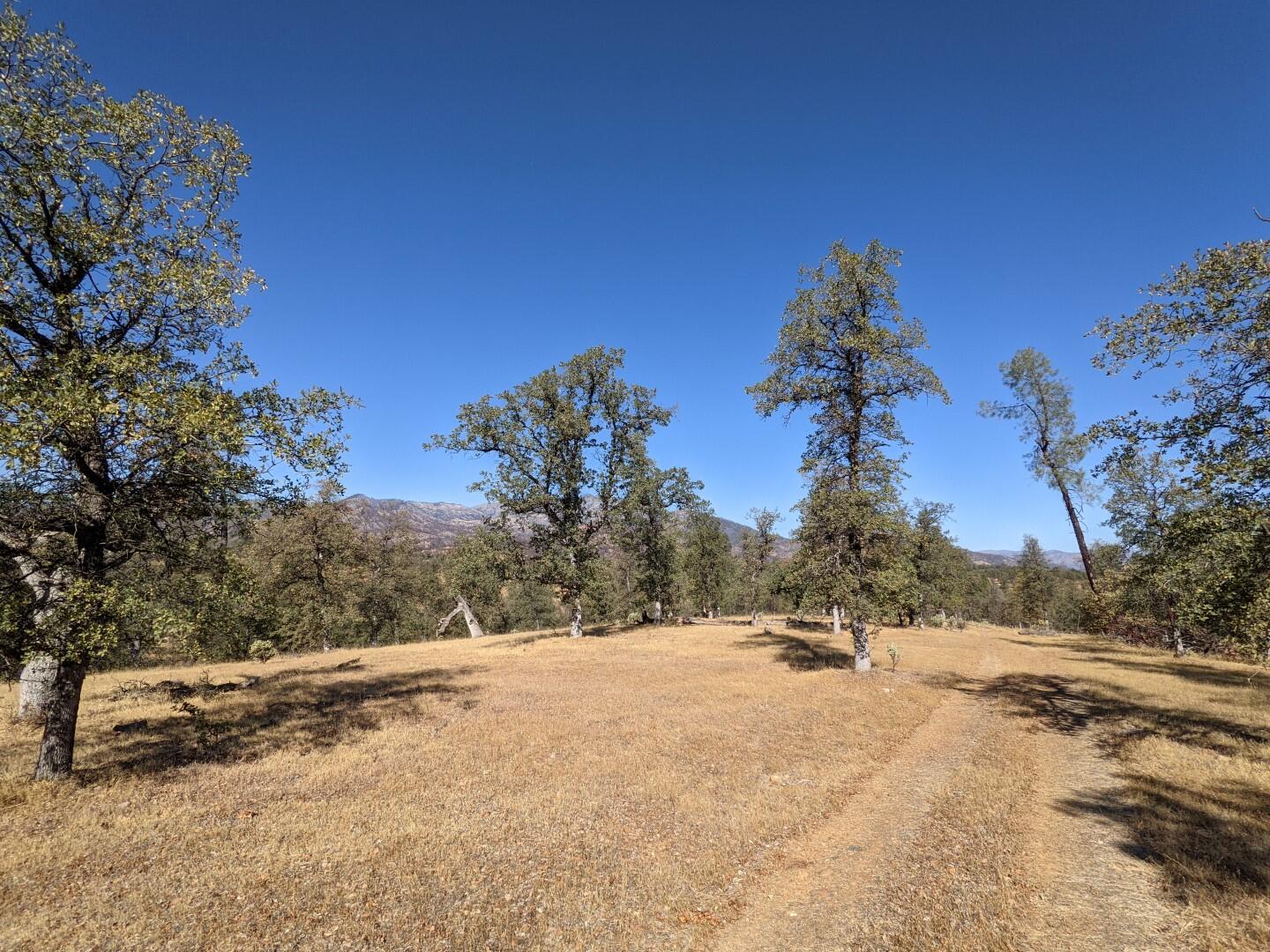 6355 Placer Road Igo, CA 96047 - Photo 32 of 112 Acreage (22)