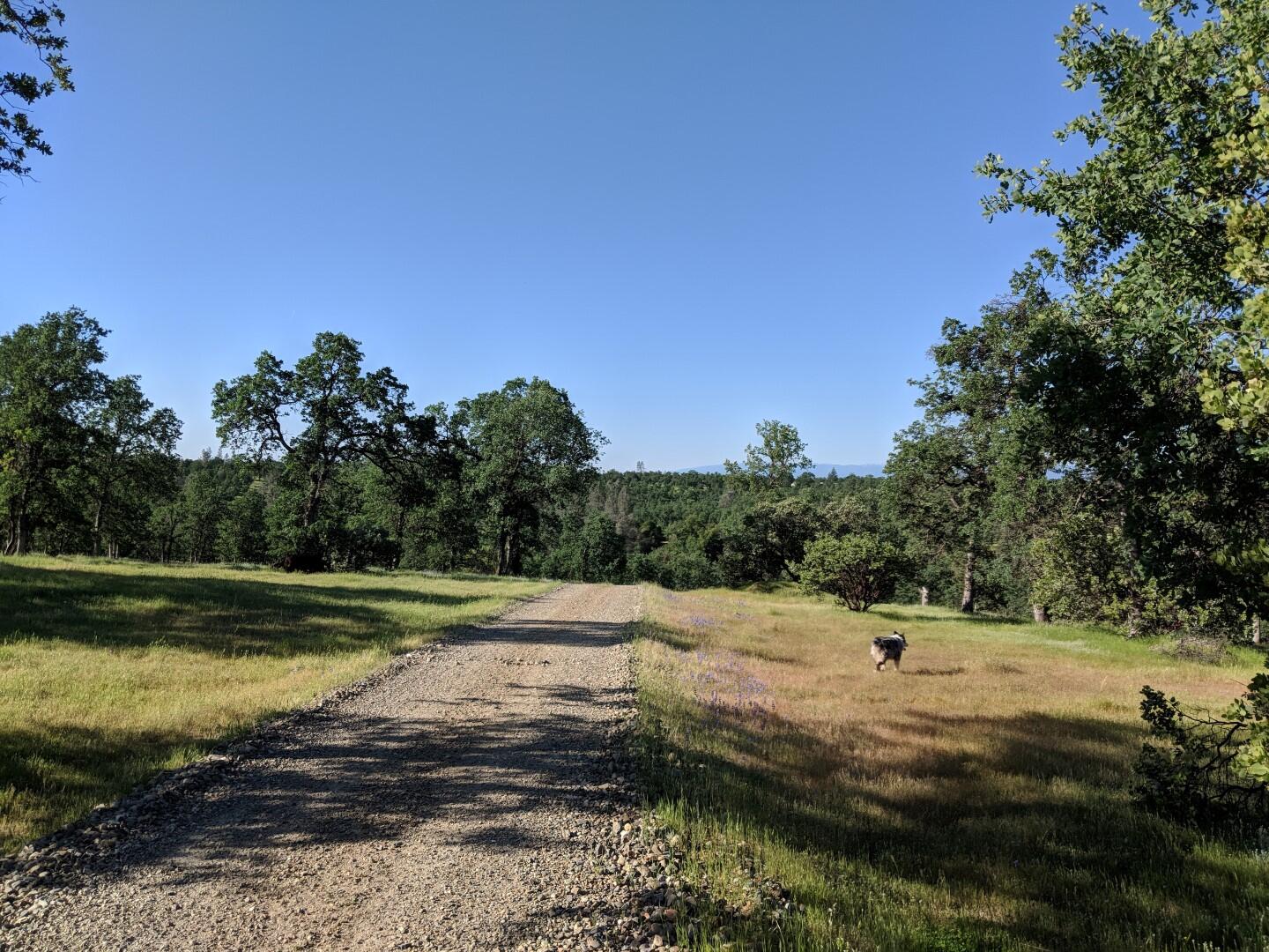 6355 Placer Road Igo, CA 96047 - Photo 10 of 112 Acreage (2)