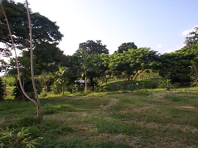 216 Painted Church Road Captain Cook, HI 96704 - Photo 3 of 8 Gallery Image 3