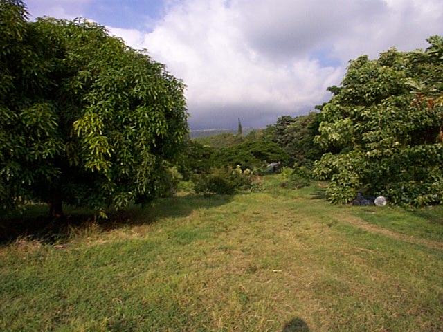216 Painted Church Road Captain Cook, HI 96704 - Photo 7 of 8 Gallery Image 7