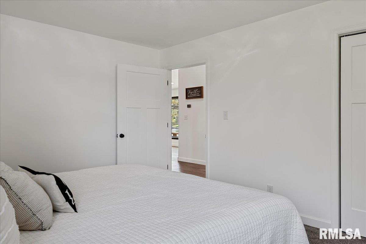 814 Poplar Loop Petersburg, IL 62675 - Photo 29 of 52