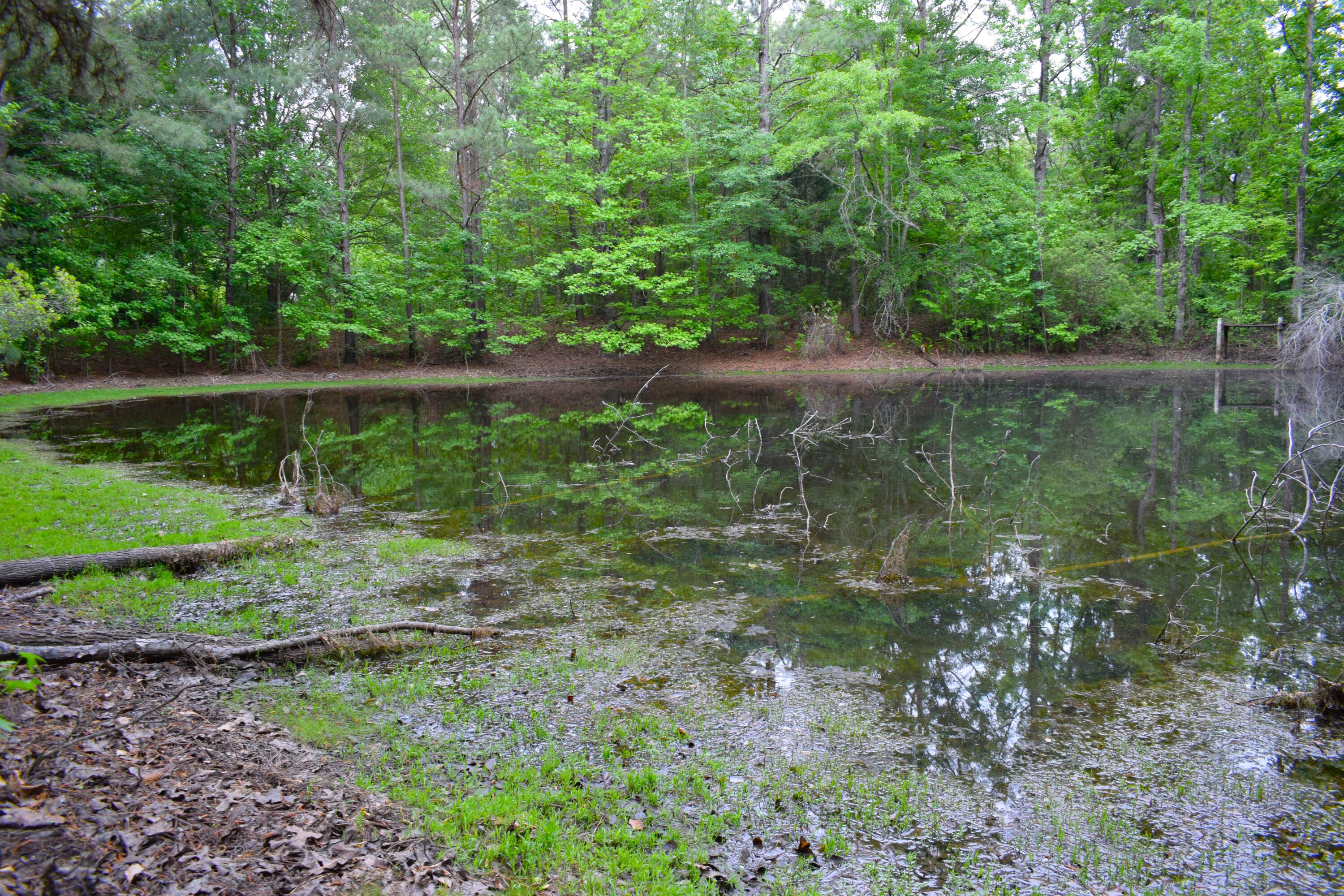 3444 Sand Hill Road Thomson, GA 30824 - Photo 54 of 54 DSC_0007