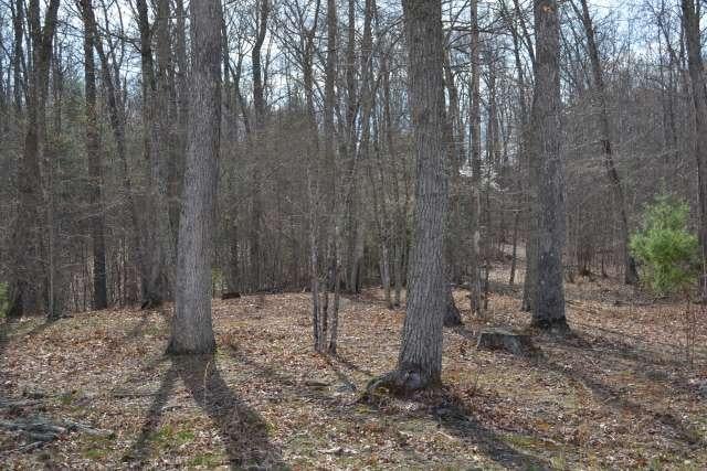 204 Brush Road Lewisburg, WV 24901 - Photo 18 of 60 Gallery Image 18