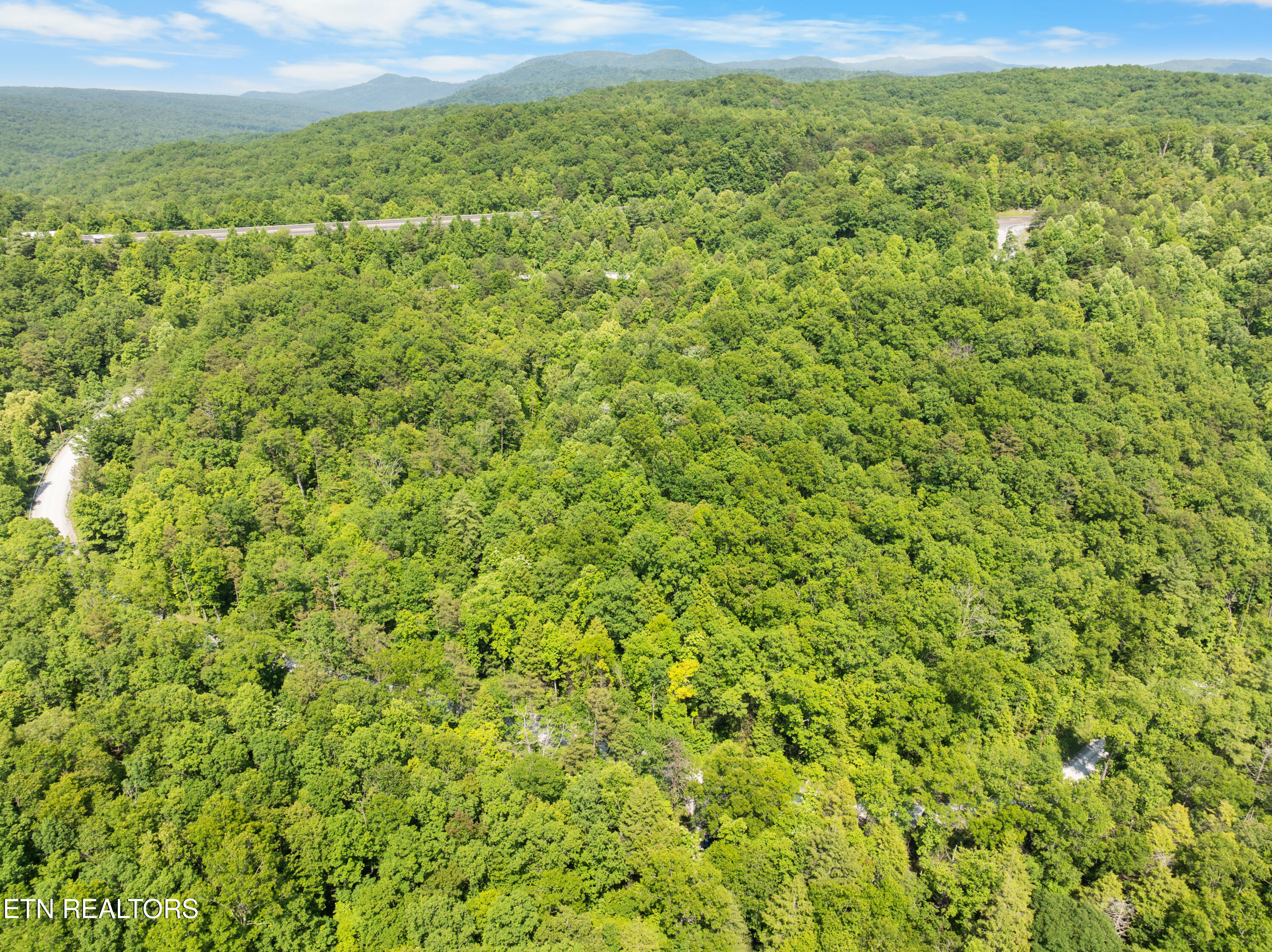 61 Acres Road Pioneer, TN 37847 - Photo 13 of 24 DJI_0454