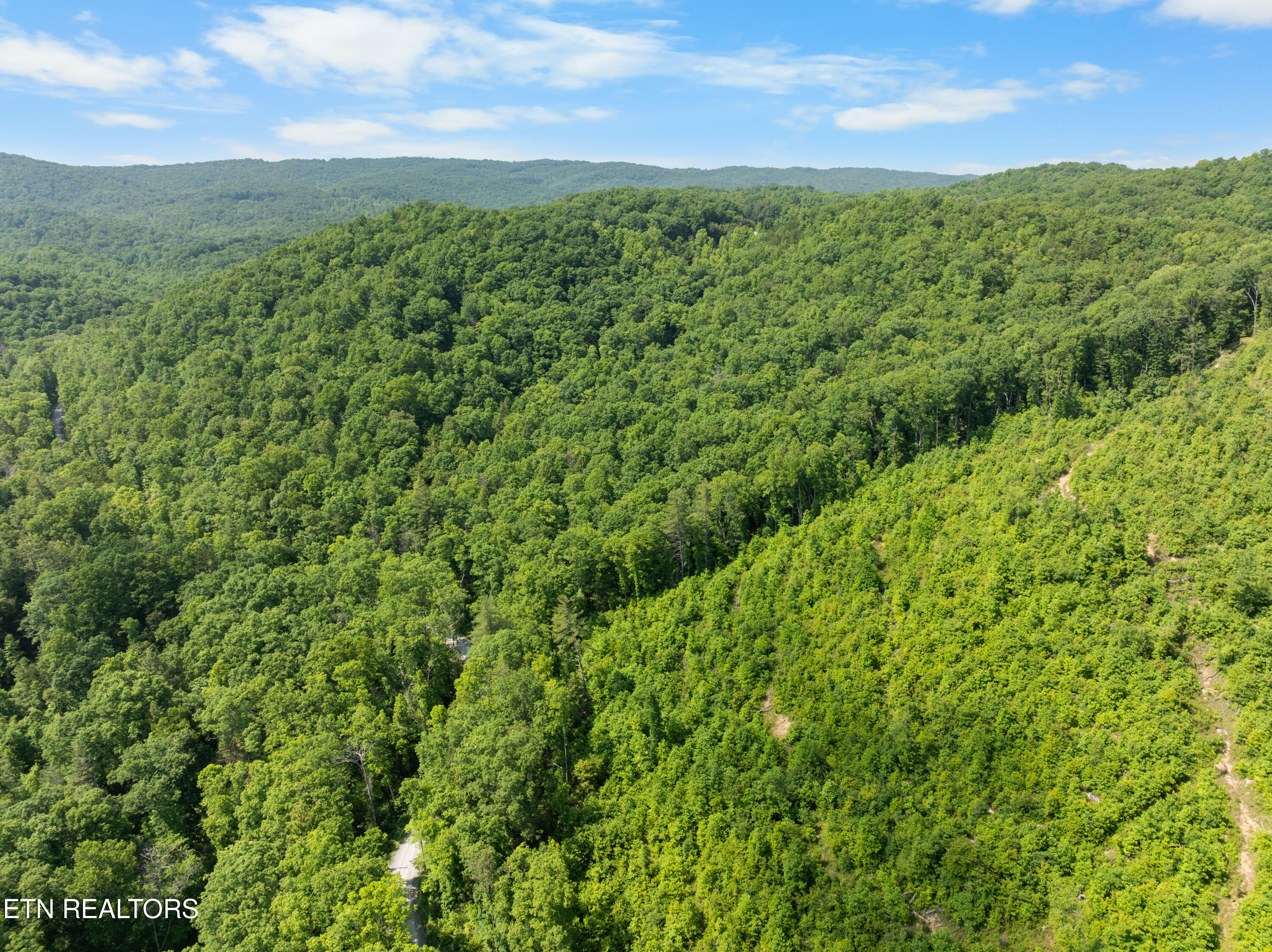 61 Acres Road Pioneer, TN 37847 - Photo 15 of 24 DJI_0469