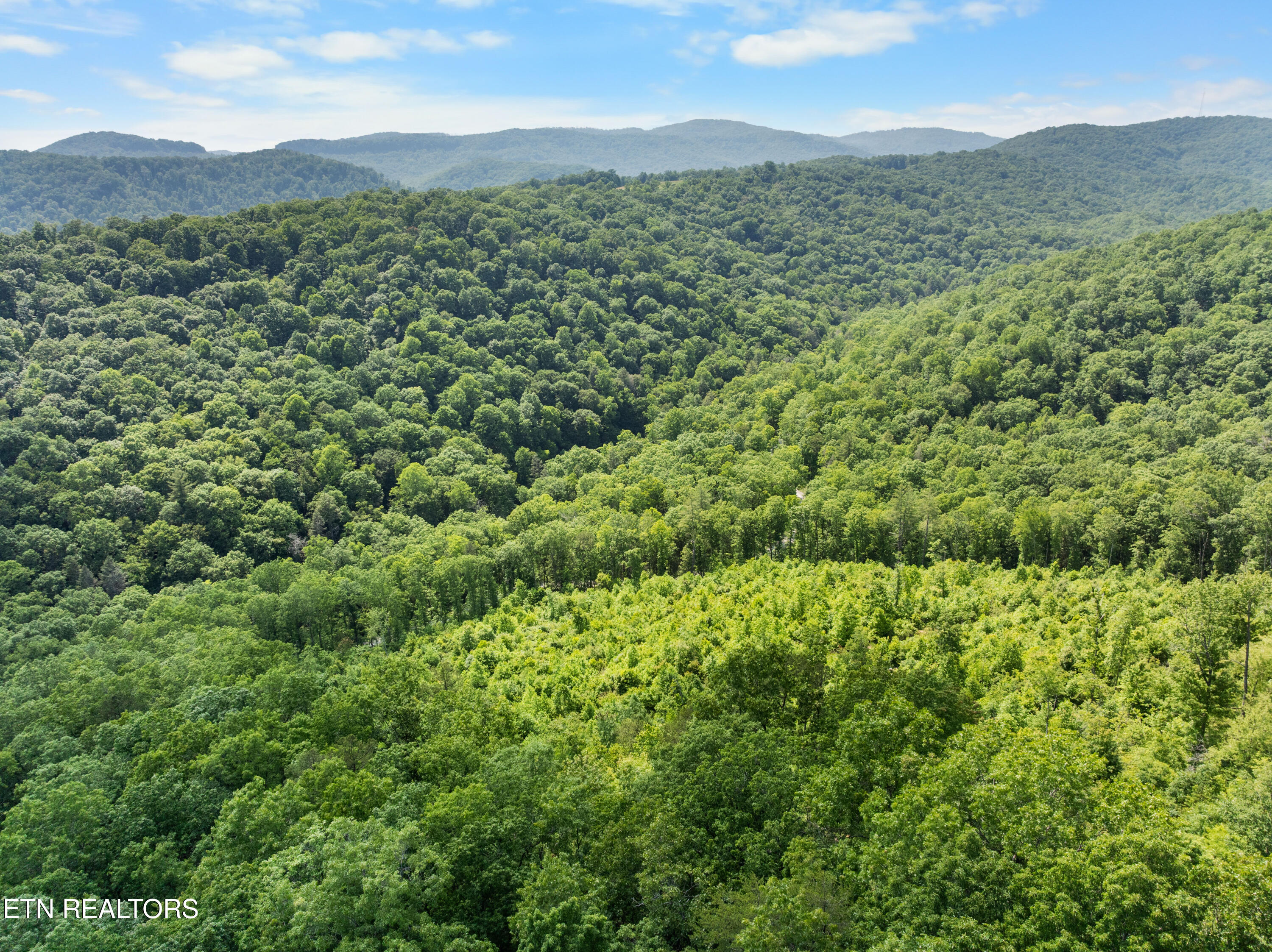 61 Acres Road Pioneer, TN 37847 - Photo 18 of 24 DJI_0494