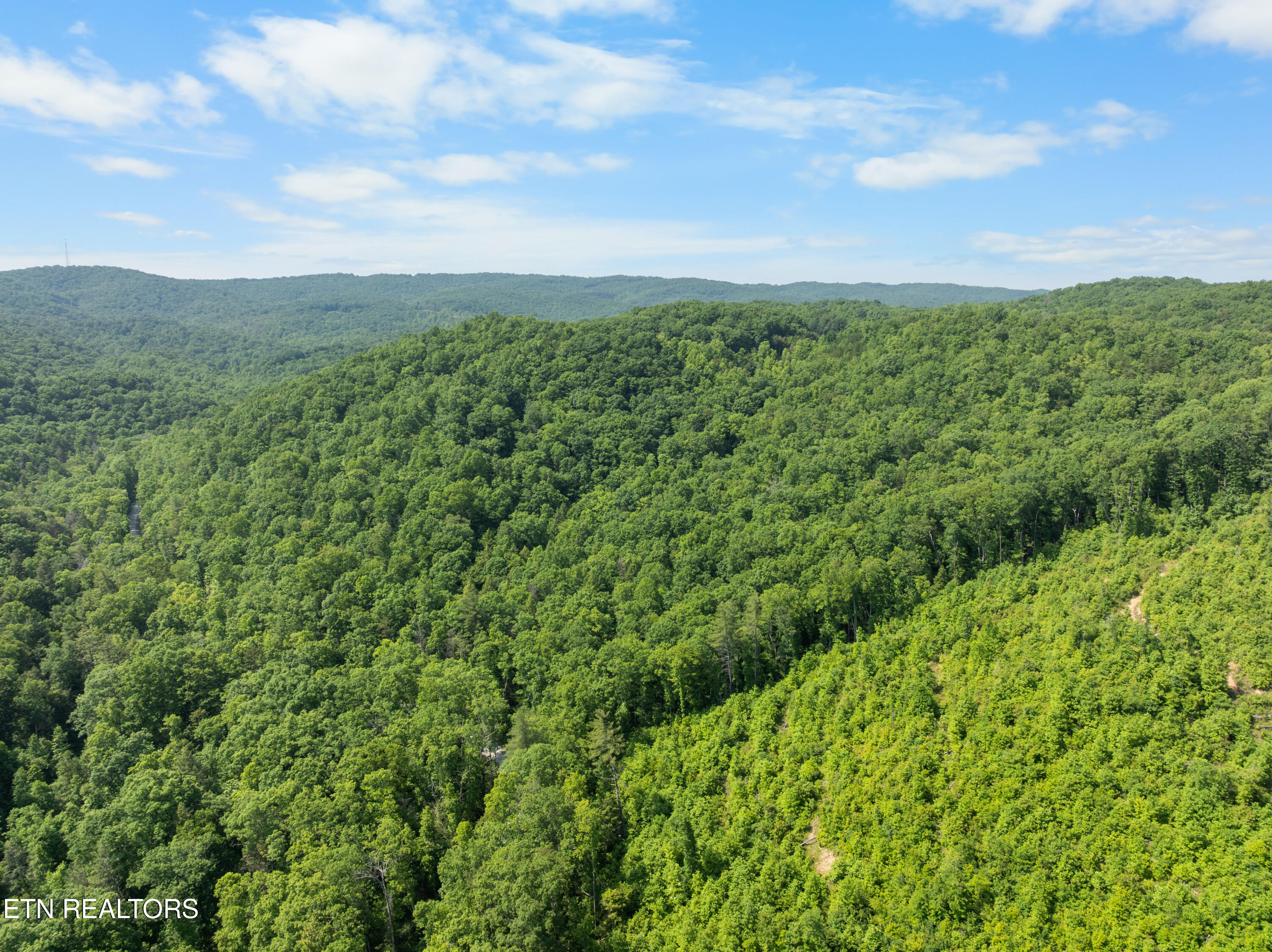 61 Acres Road Pioneer, TN 37847 - Photo 19 of 24 DJI_0499