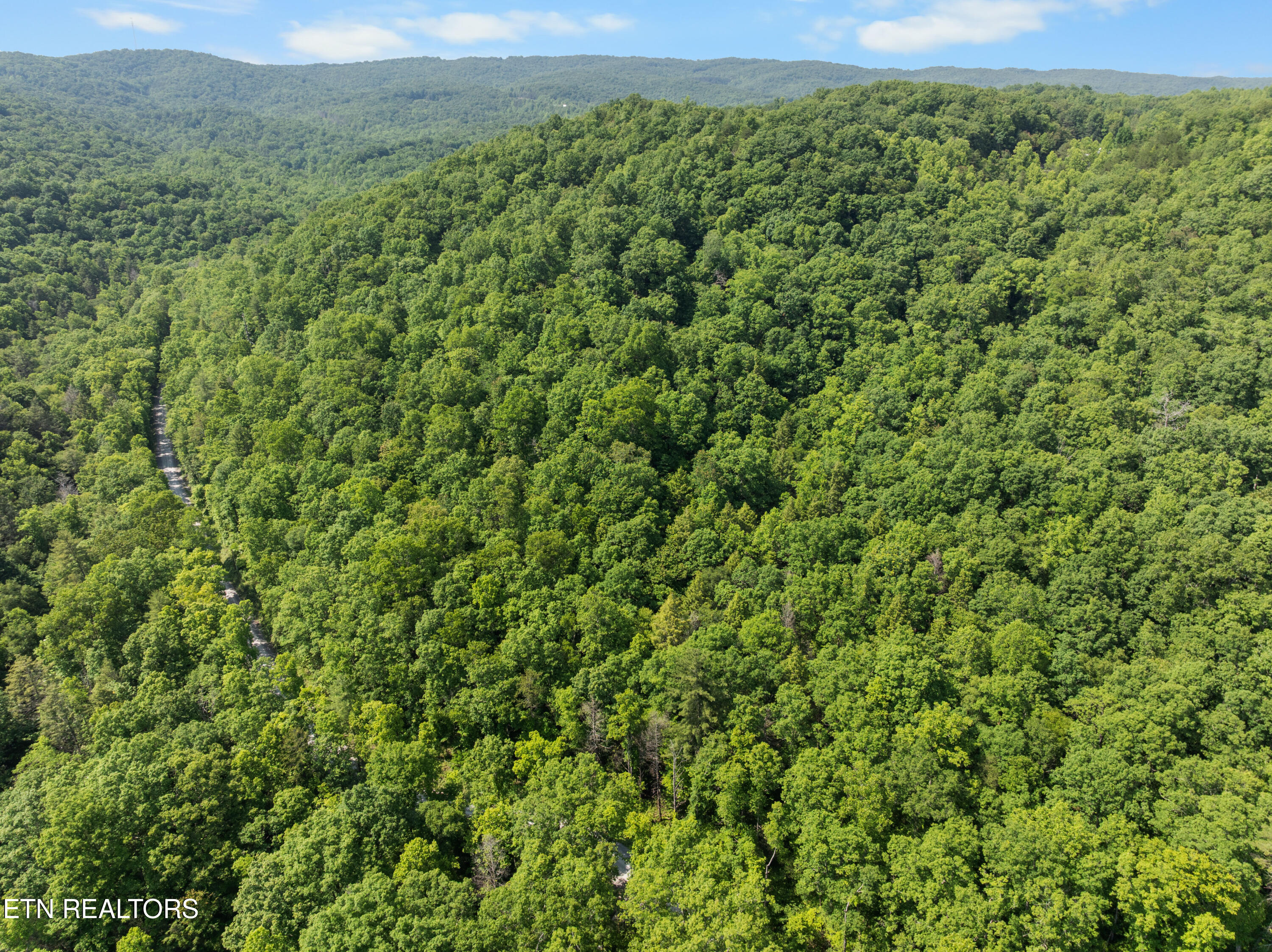 61 Acres Road Pioneer, TN 37847 - Photo 20 of 24 DJI_0504
