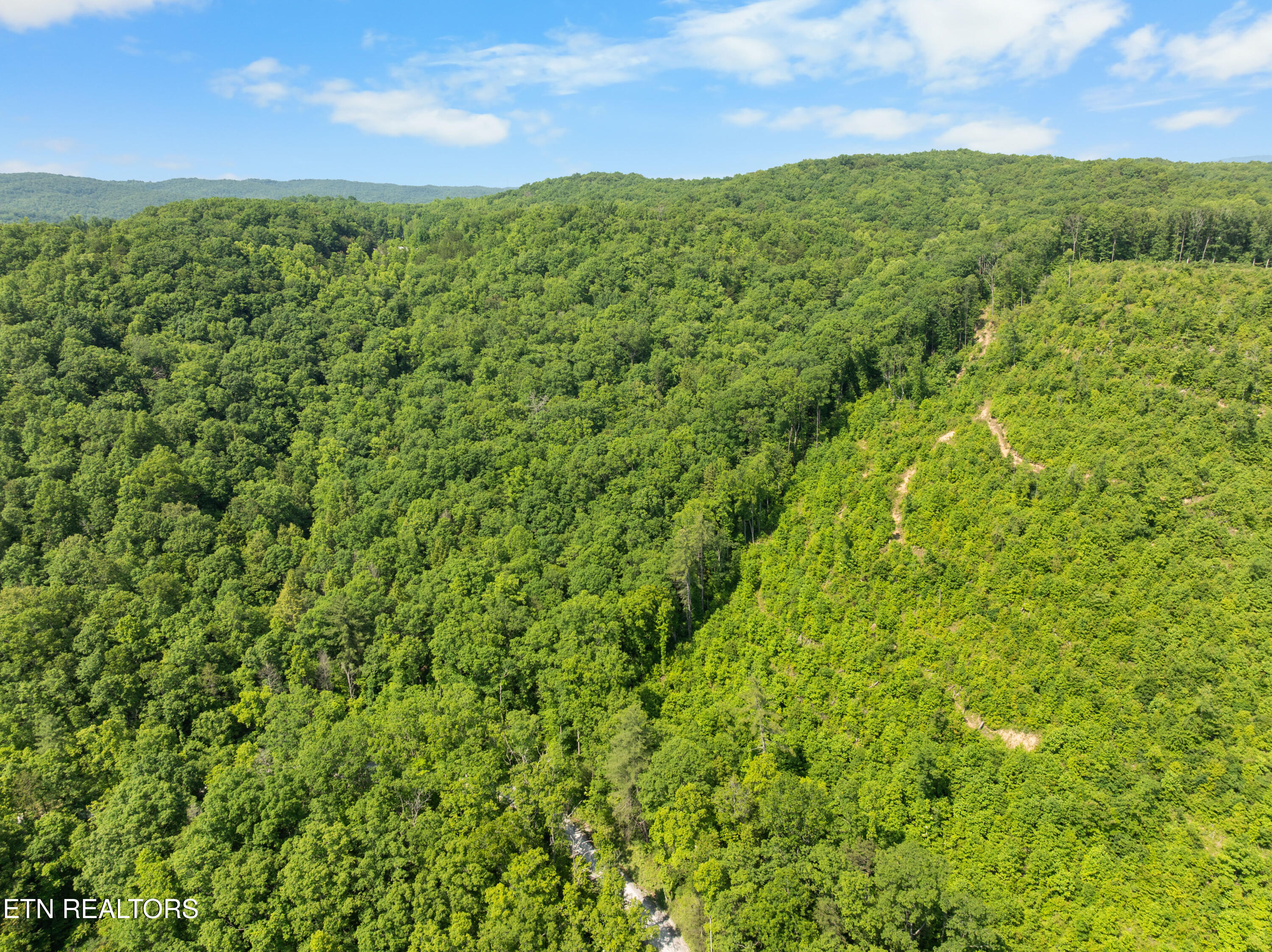 61 Acres Road Pioneer, TN 37847 - Photo 21 of 24 DJI_0509