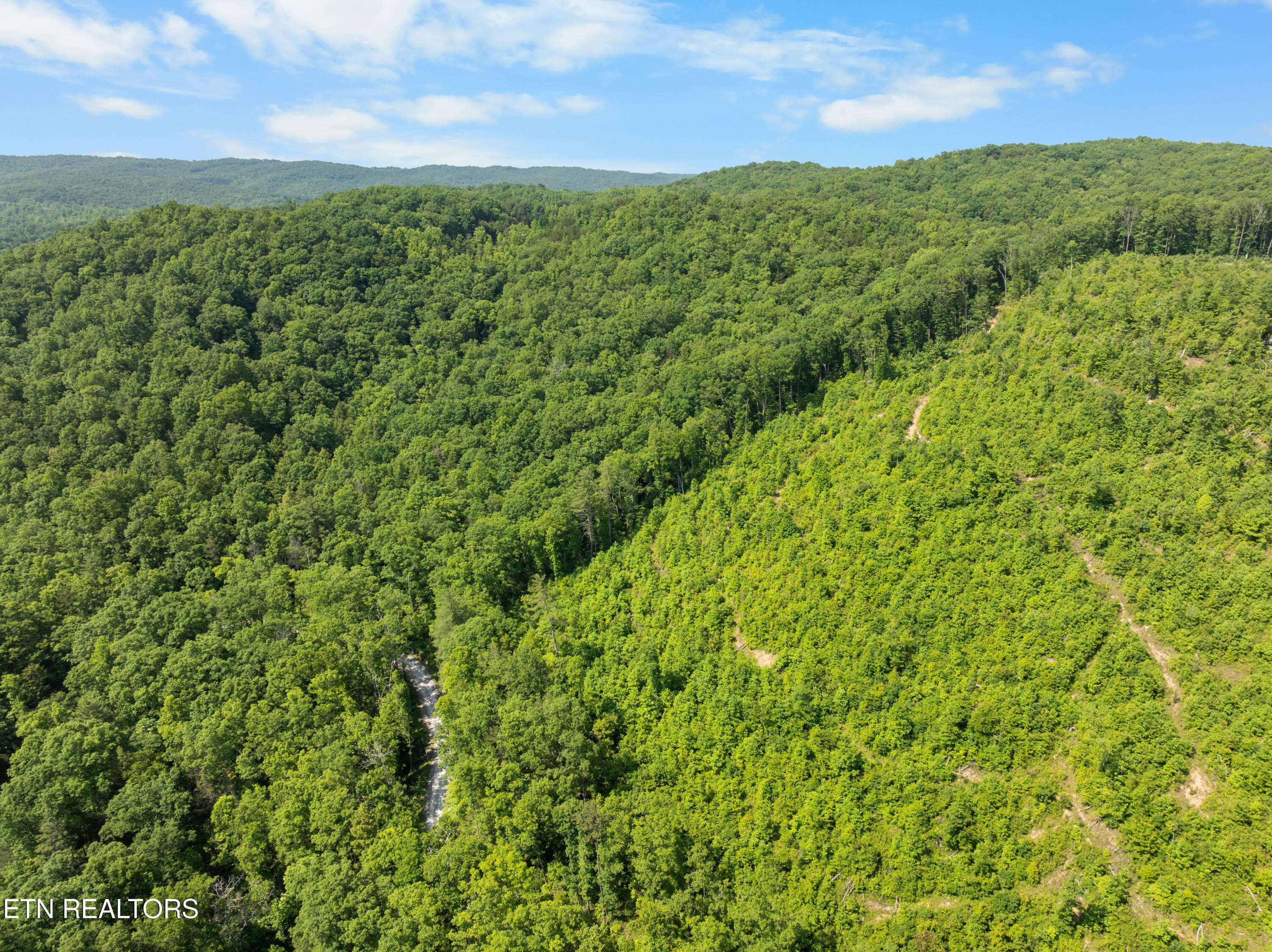 61 Acres Road Pioneer, TN 37847 - Photo 22 of 24 DJI_0514