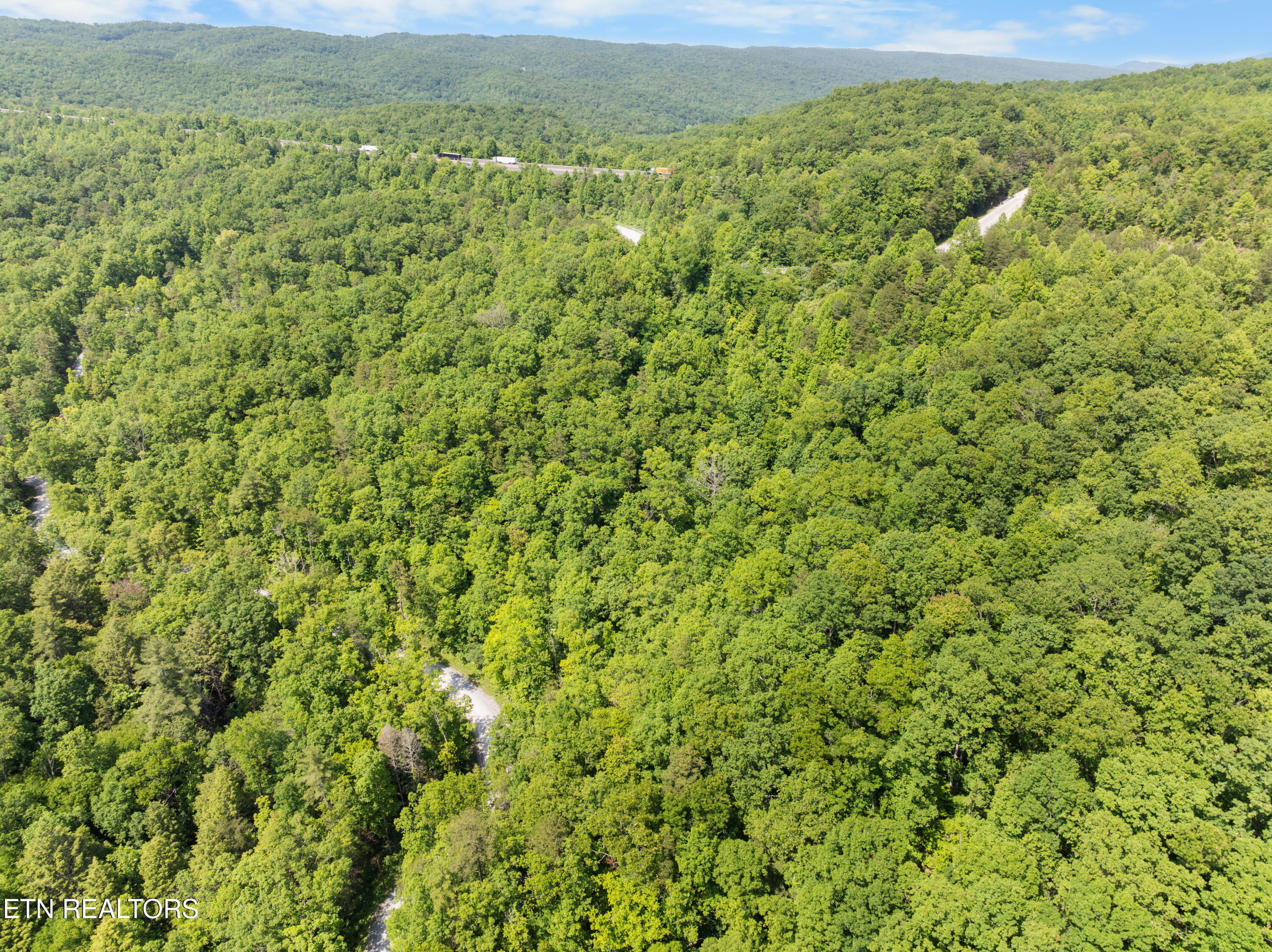 61 Acres Road Pioneer, TN 37847 - Photo 23 of 24 DJI_0434