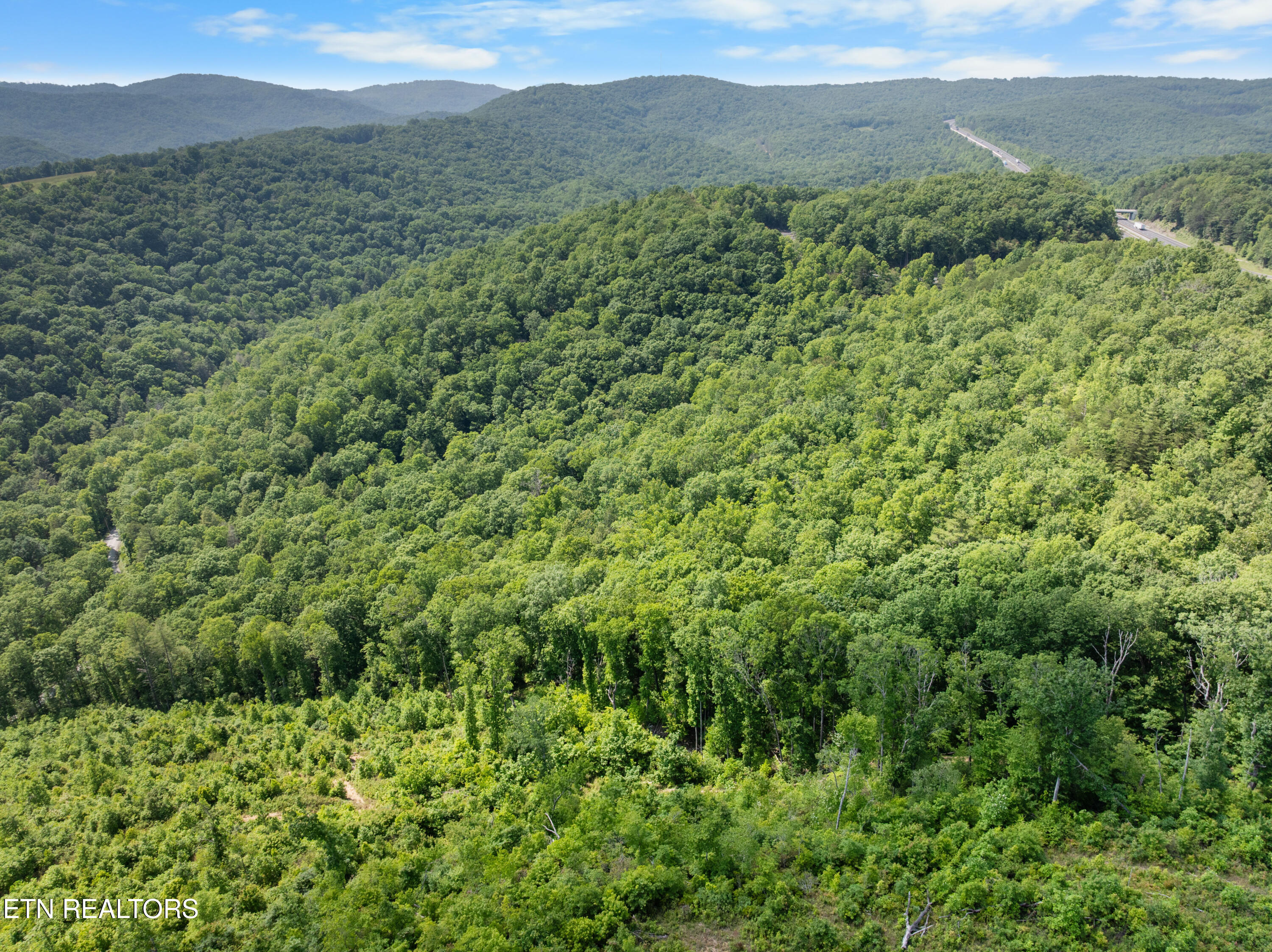 61 Acres Road Pioneer, TN 37847 - Photo 24 of 24 DJI_0484