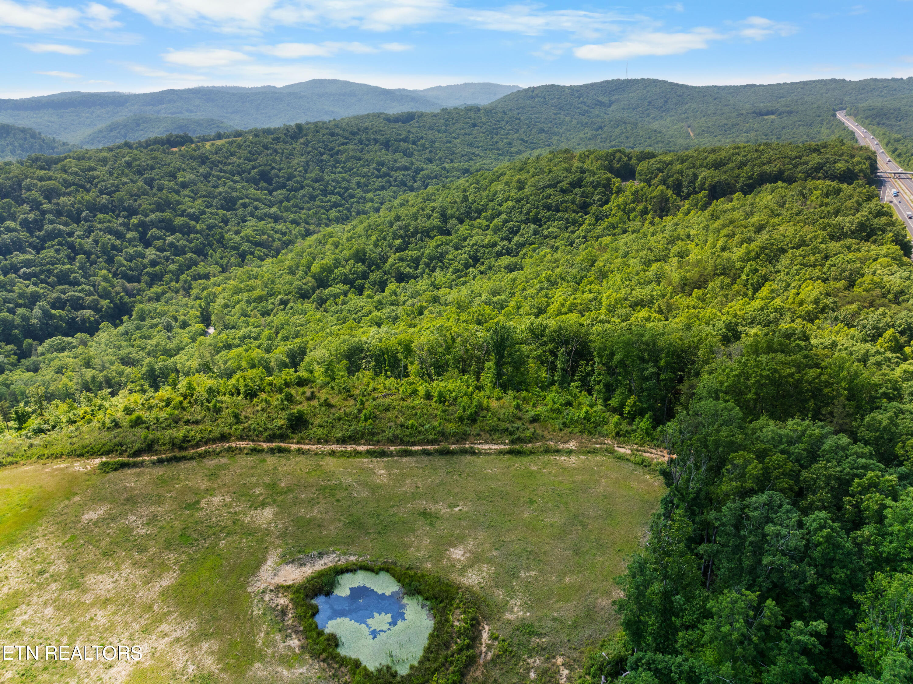 61 Acres Road Pioneer, TN 37847 - Photo 4 of 24 DJI_0489