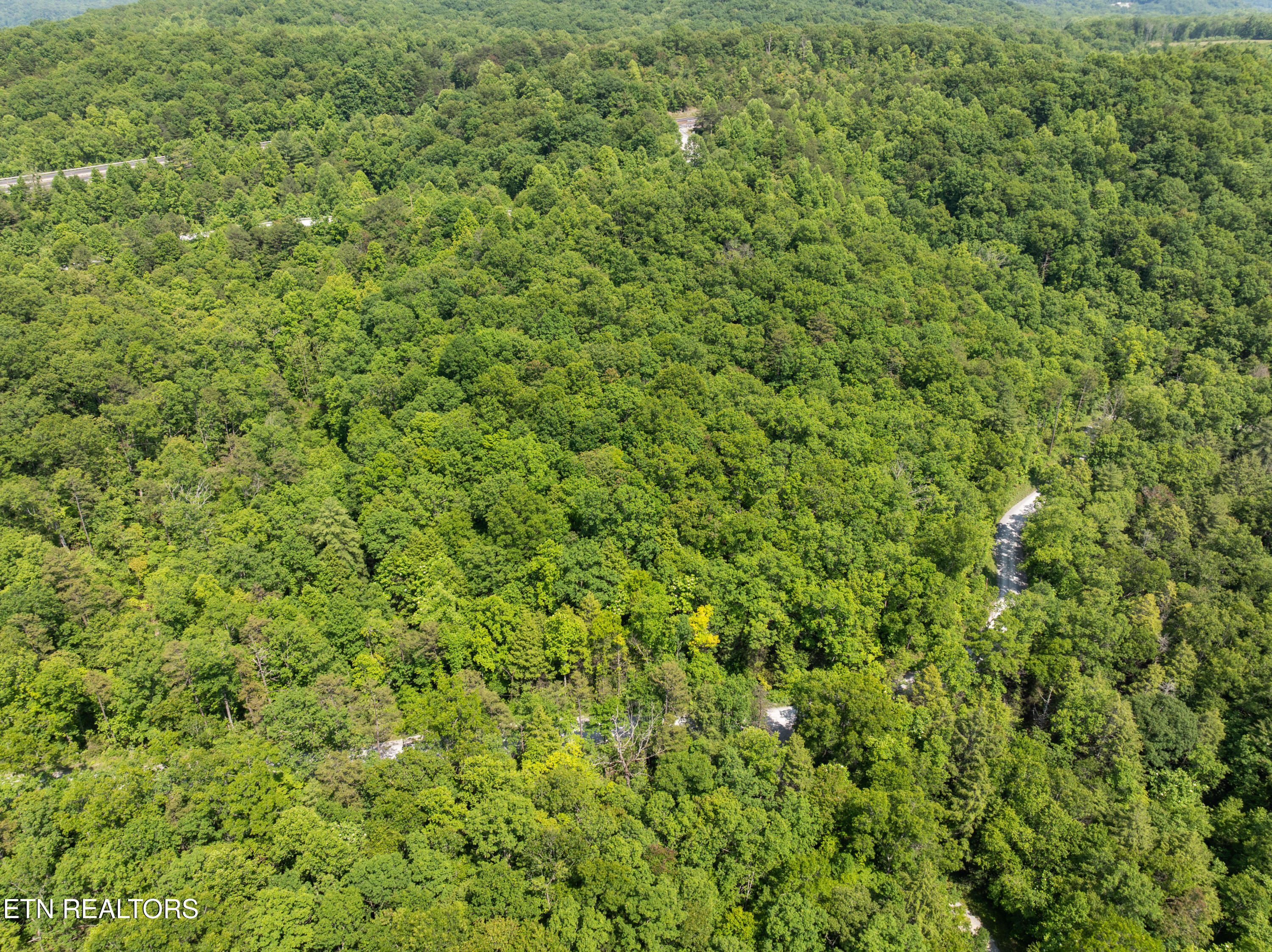 61 Acres Road Pioneer, TN 37847 - Photo 8 of 24 DJI_0424