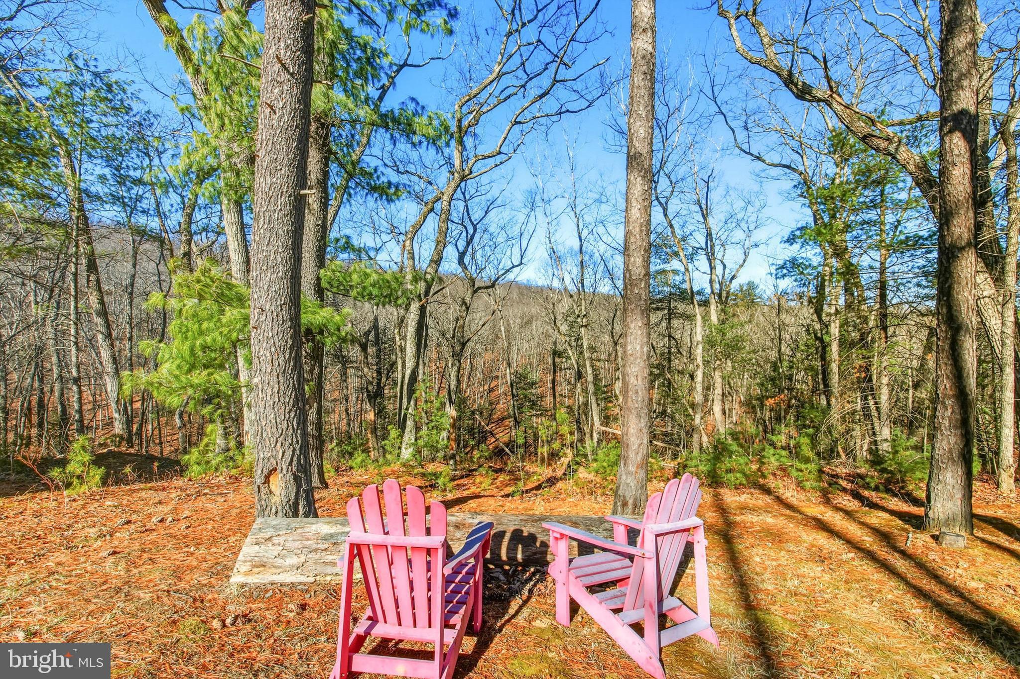 509 Alpine Way Mount Jackson, VA 22842 - Photo 12 of 52 Views