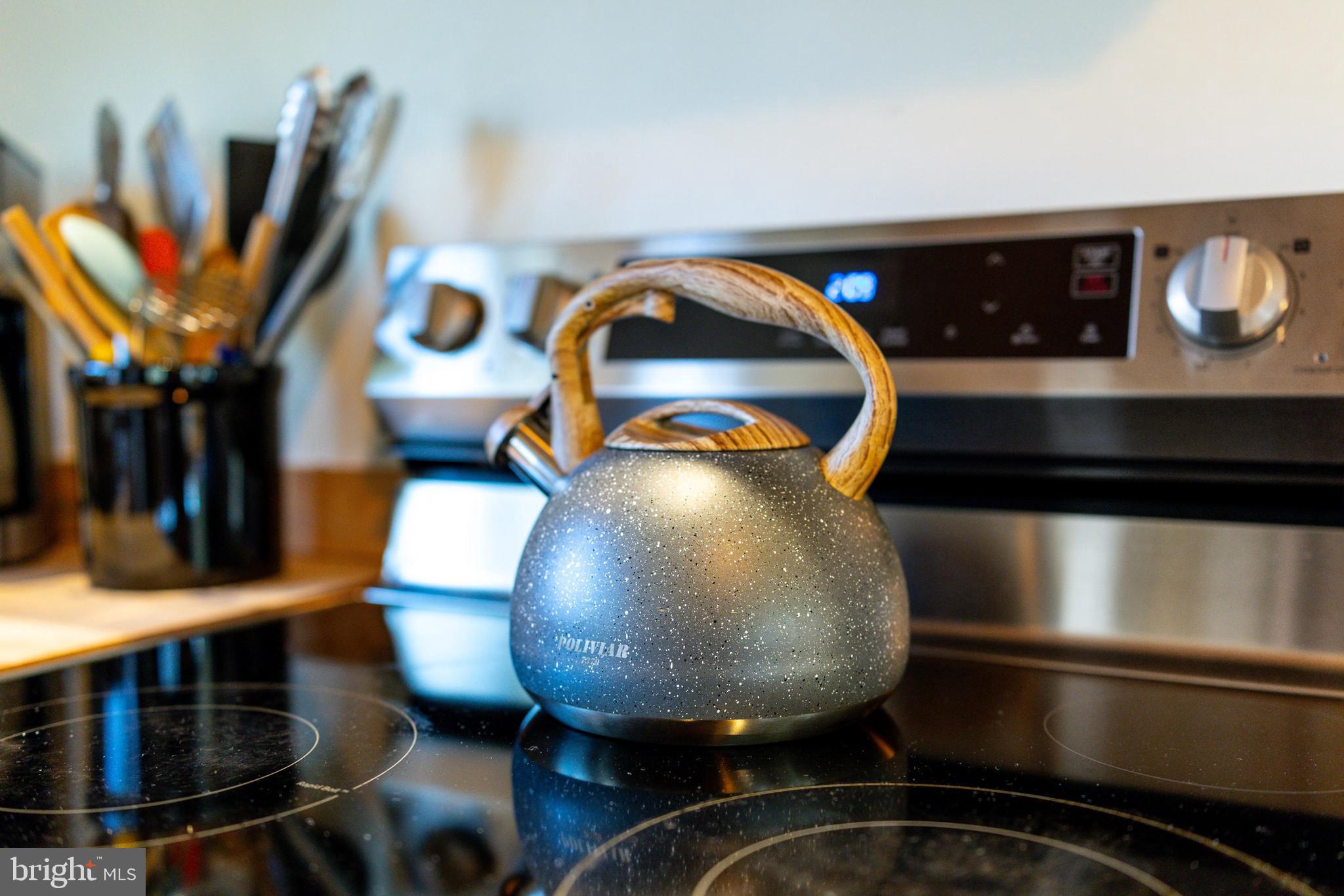 509 Alpine Way Mount Jackson, VA 22842 - Photo 22 of 52