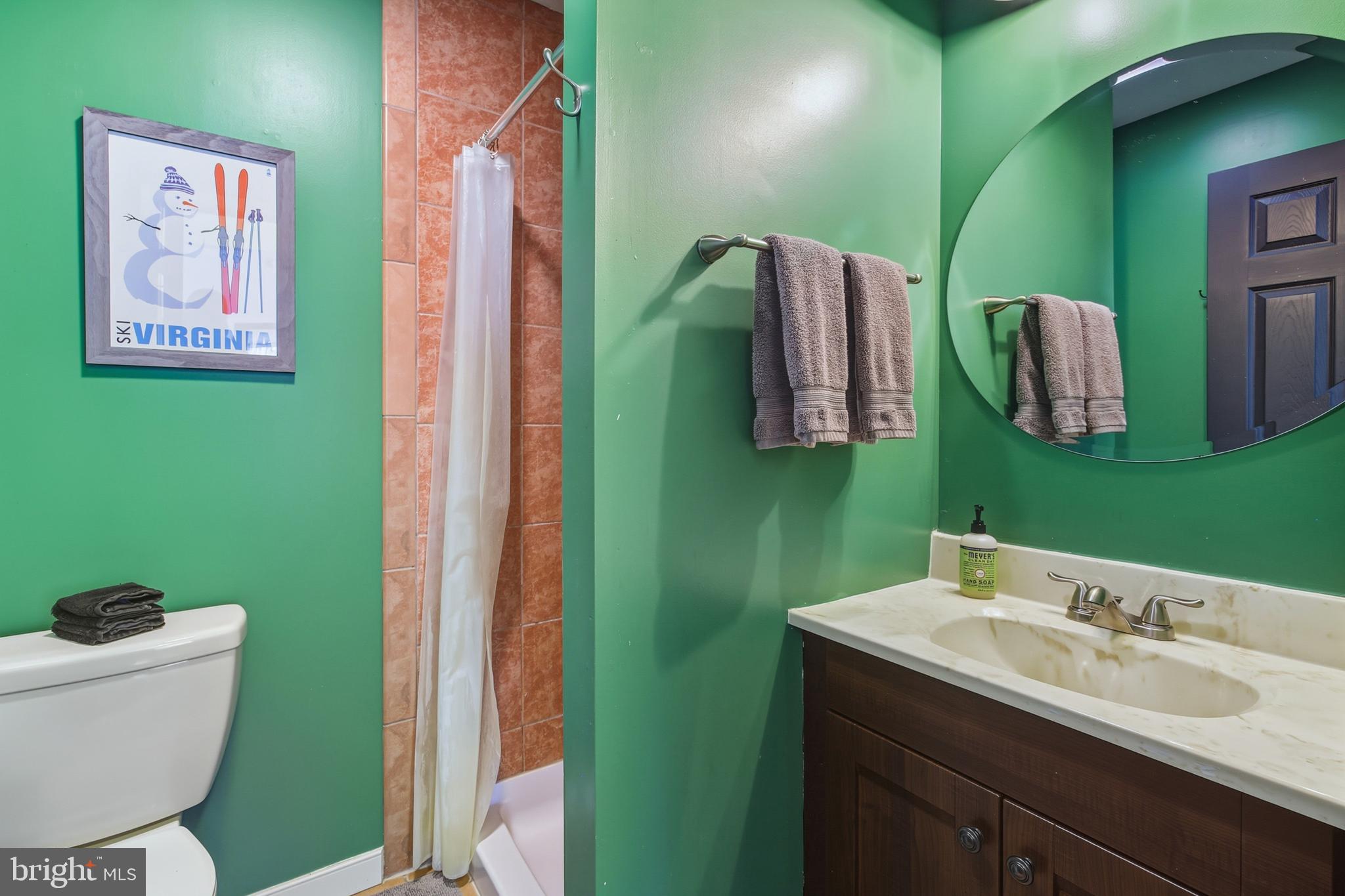 509 Alpine Way Mount Jackson, VA 22842 - Photo 31 of 52 Main Level Bath