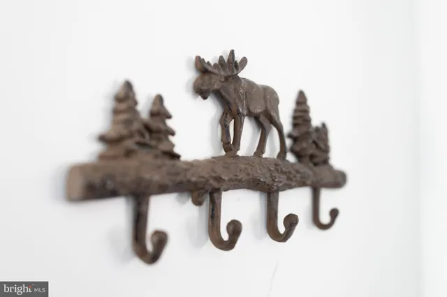 $314,998 | 509 Alpine Way, Mount Jackson, VA 22842