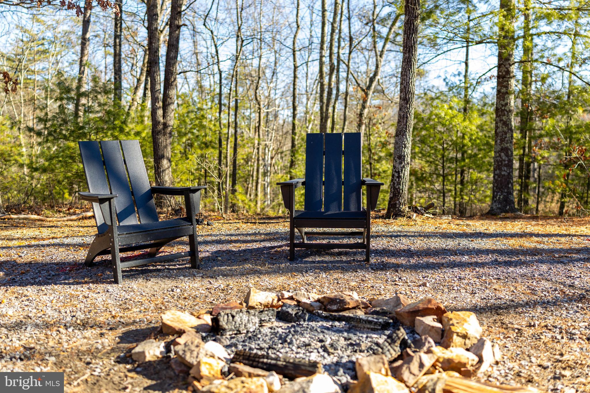 509 Alpine Way Mount Jackson, VA 22842 - Photo 42 of 52 Fire pit to enjoy!