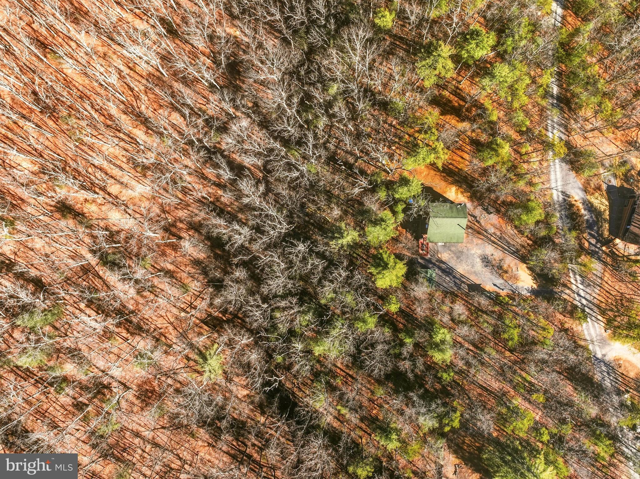 509 Alpine Way Mount Jackson, VA 22842 - Photo 46 of 52