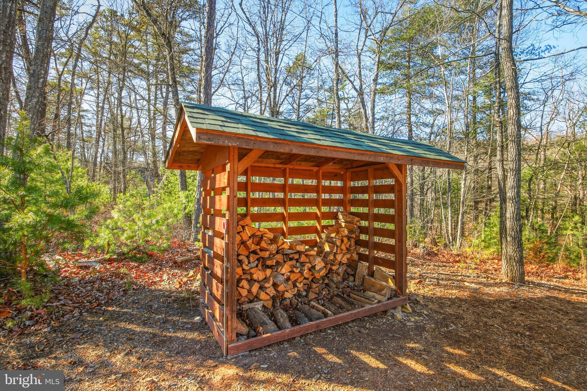 509 Alpine Way Mount Jackson, VA 22842 - Photo 10 of 52 Wood Shed