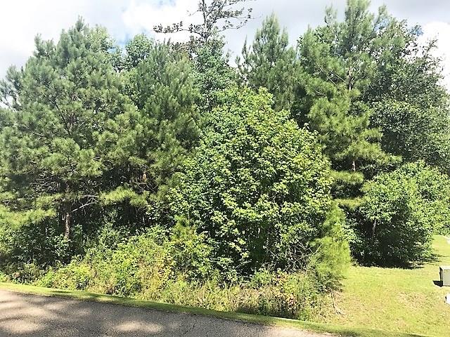0 Barkley Boulevard Covington, LA 70433 - Photo 2 of 5