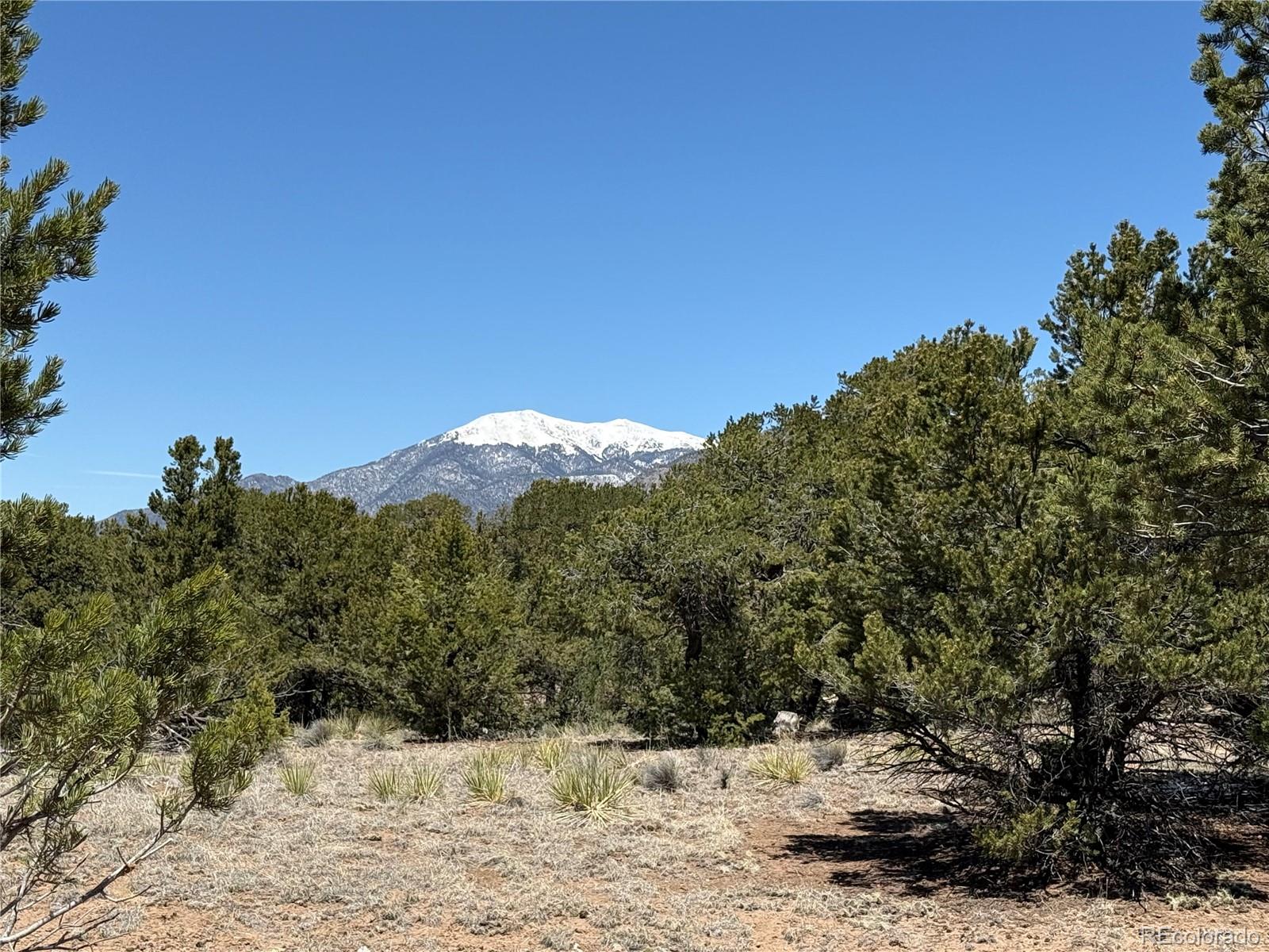 3231 Camino Del Rey Crestone, CO 81131 - Photo 1 of 16