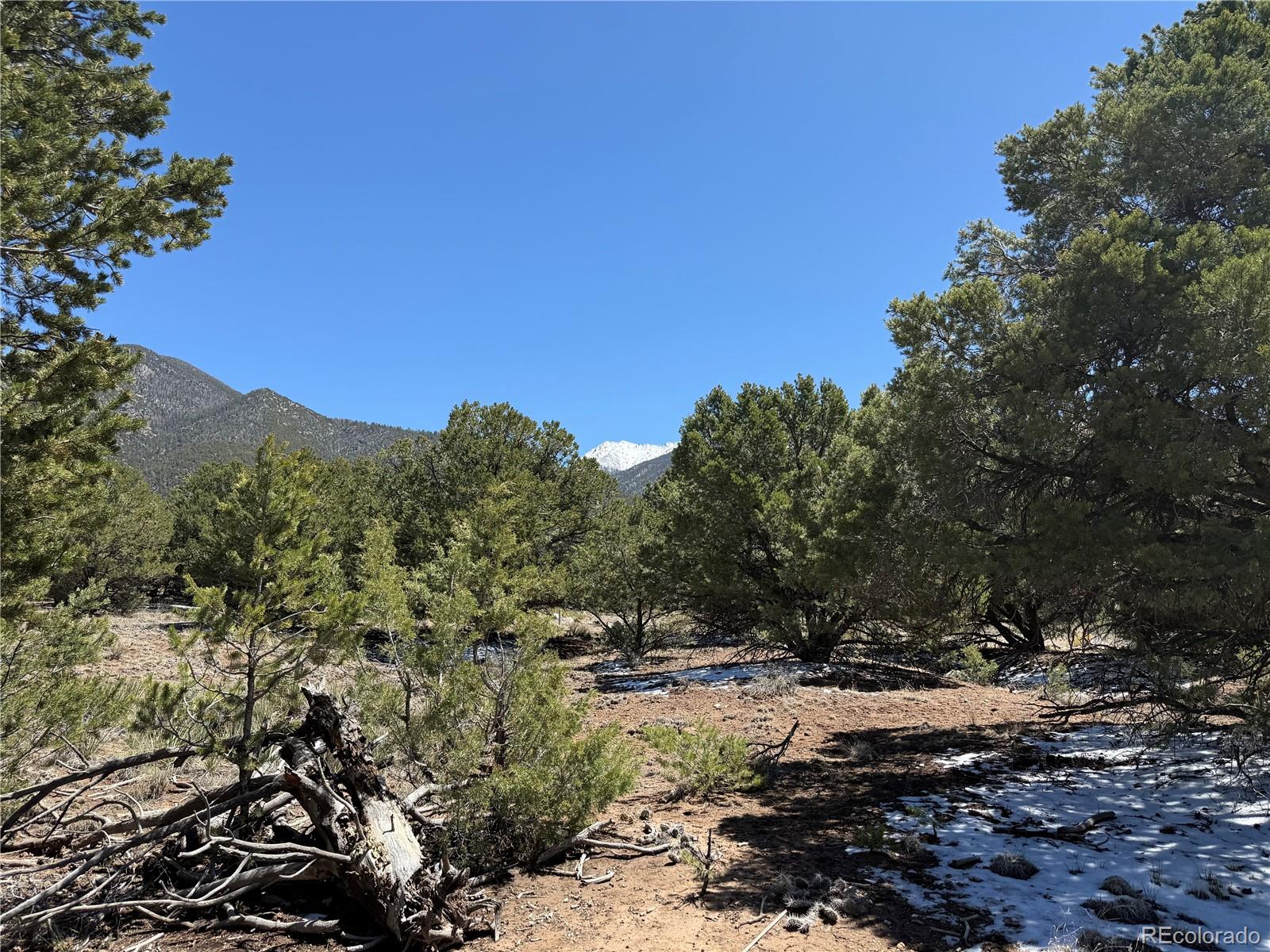 3231 Camino Del Rey Crestone, CO 81131 - Photo 11 of 16